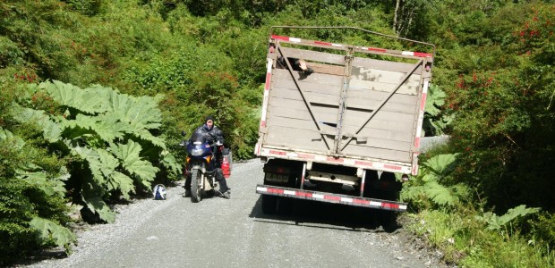 http://www.habiafrica.de/wp/wp-content/uploads/2012/05/Auf-der-Carretera-Austral-mit-Nalcablätter_1.jpg