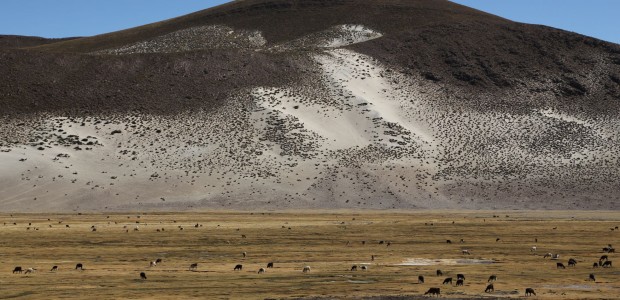 http://www.habiafrica.de/wp/wp-content/uploads/2015/07/29.-Auf-dem-Weg-nach-Uyuni_2.jpg