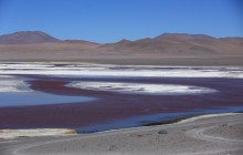 http://www.habiafrica.de/wp/wp-content/uploads/2015/07/42.-Die-Laguna-Colorada-in-Bolivien_2.jpg