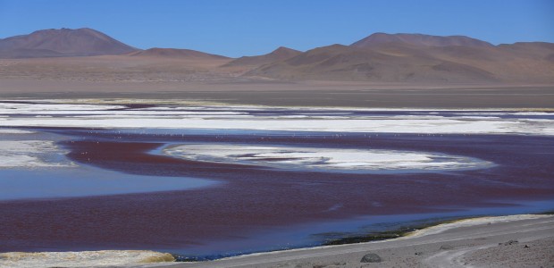 http://www.habiafrica.de/wp/wp-content/uploads/2015/07/42.-Die-Laguna-Colorada-in-Bolivien_2.jpg