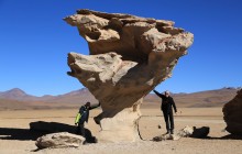 http://www.habiafrica.de/wp/wp-content/uploads/2015/07/43.-Der-Arbol-de-Piedra-Bolivien_2.jpg