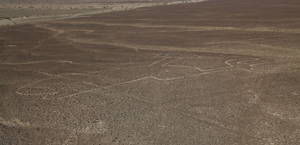 http://www.habiafrica.de/wp/wp-content/uploads/2015/07/9.-Nazca3_2.jpg