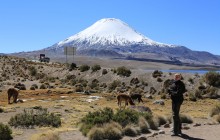 http://www.habiafrica.de/wp/wp-content/uploads/2015/07/Am-Lago-Chungara-4.500mim-Hintergrund-Parinacota_2.jpg