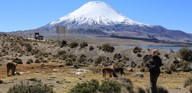 http://www.habiafrica.de/wp/wp-content/uploads/2015/07/Am-Lago-Chungara-4.500mim-Hintergrund-Parinacota_2.jpg