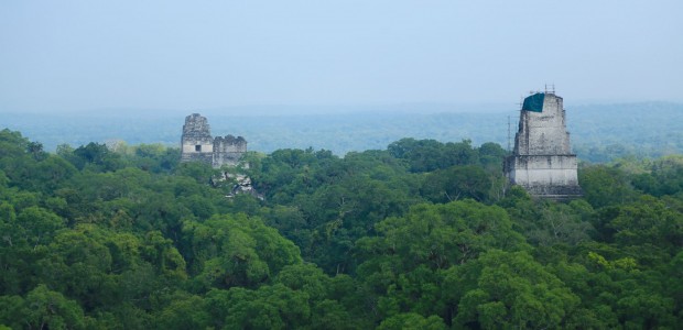 http://www.habiafrica.de/wp/wp-content/uploads/2015/10/31.-Blick-über-den-Regenwald-von-Tikal-von-einem-der-Tempel-im-Nationalpark-aus_2.jpg